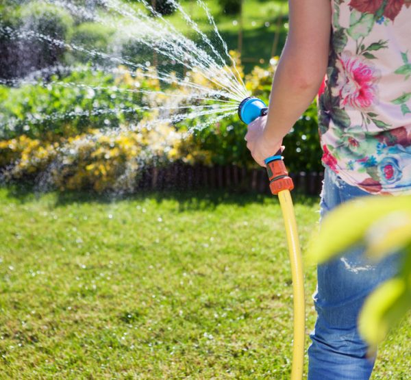 Woman's hand with garden hose watering plants